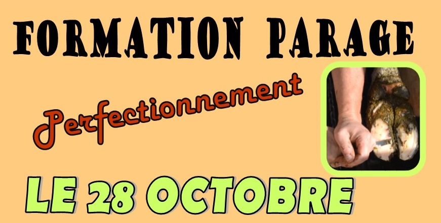 Illustration de l'actualité